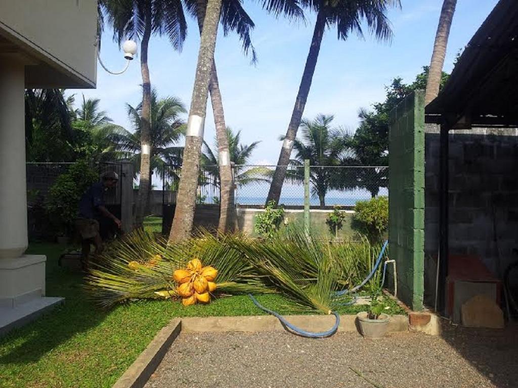 Janishi Residencies Hotel Negombo Exterior foto